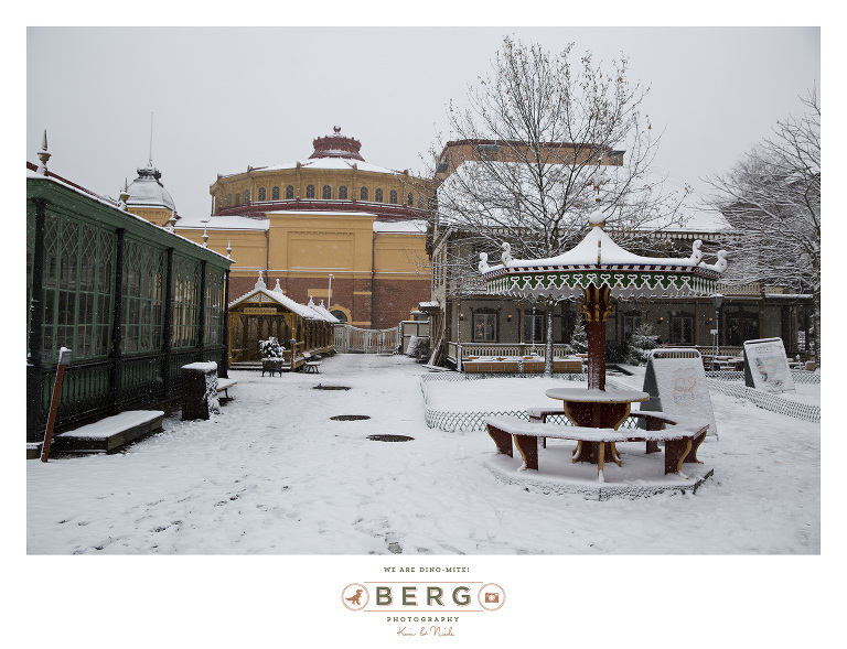 Sweden - London - Travel Photography (4)