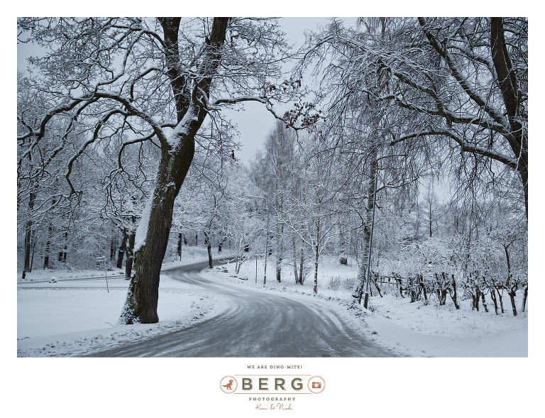 Sweden - London - Travel Photography (44)