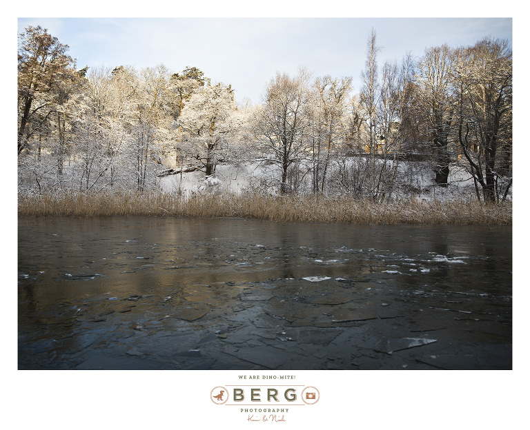 Sweden - London - Travel Photography (49)