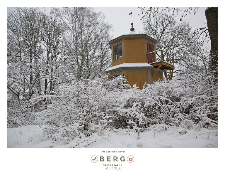 Sweden - London - Travel Photography (5)