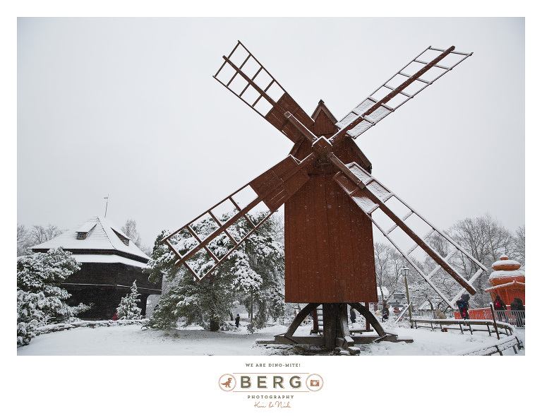 Sweden - London - Travel Photography (6)