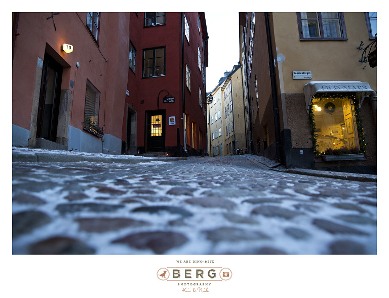 Sweden - London - Travel Photography (60)