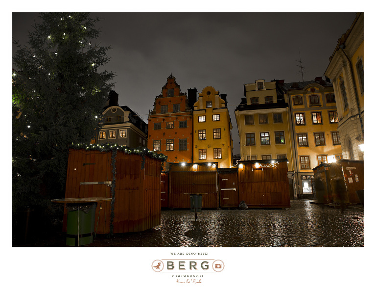 Sweden - London - Travel Photography (67)