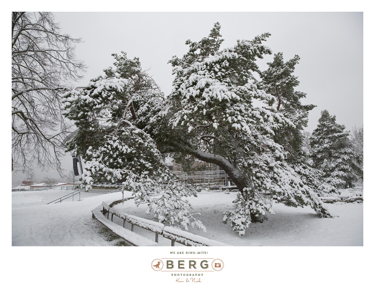 Sweden - London - Travel Photography (7)