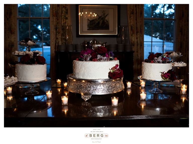 Alexandria Louisiana wedding photographers (5)a