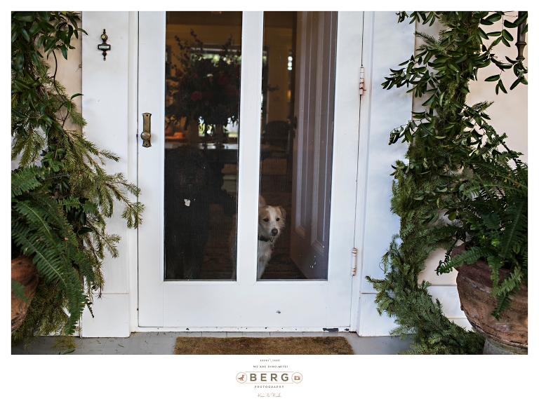 Inglewood Plantation Alexandria Louisiana Wedding Photographers (50)