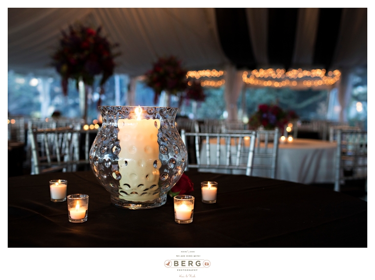 Inglewood Plantation Alexandria Louisiana Wedding Photographers (58)