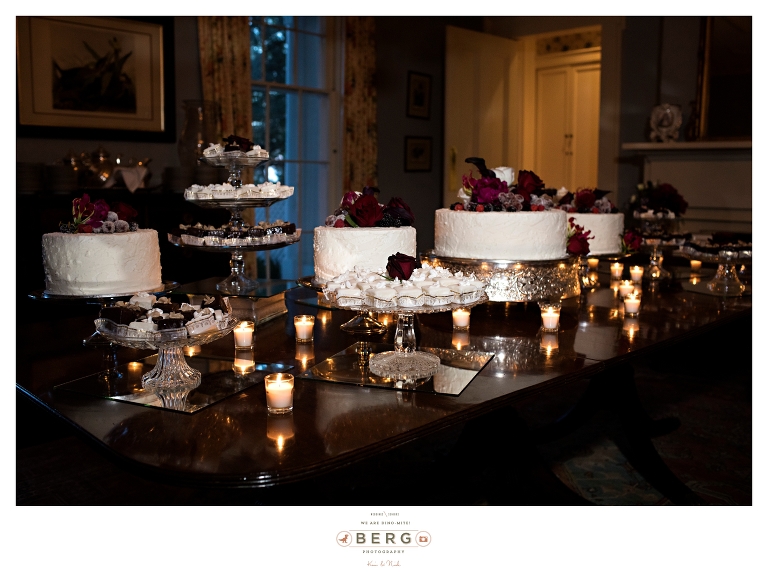 Inglewood Plantation Alexandria Louisiana Wedding Photographers (63)