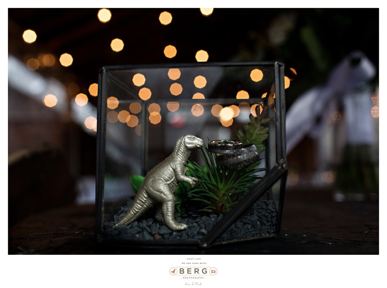 Avalon Ranch, McKinney Texas Wedding Photographer (35)