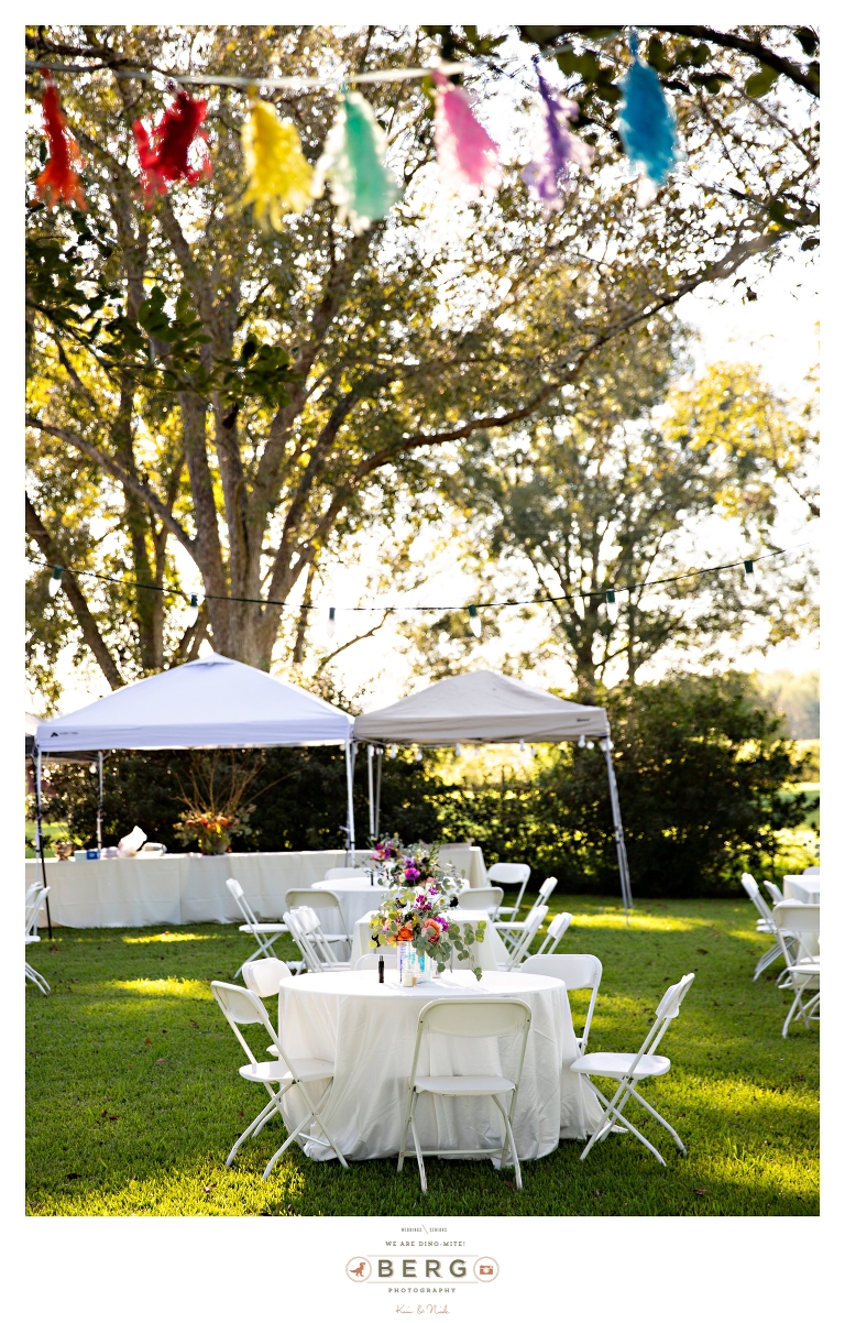 Lucedale Mississippi Wedding Photographers outdoor wedding (61)