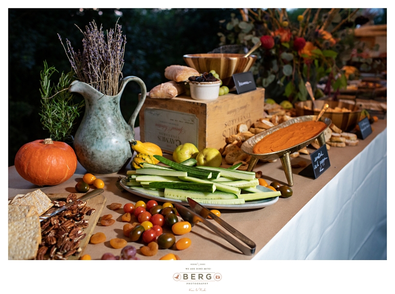 Lucedale Mississippi Wedding Photographers outdoor wedding (79)