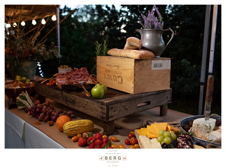 Lucedale Mississippi Wedding Photographers outdoor wedding (80)