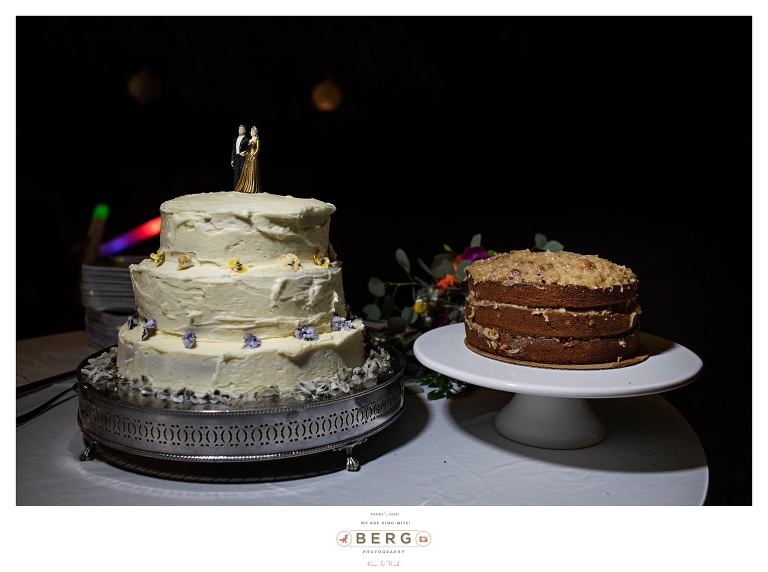 Lucedale Mississippi Wedding Photographers outdoor wedding (84)