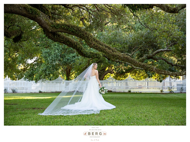 LaChute Plantation Bridal Session wedding photographers (10)
